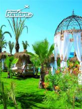 فان فیر مرجع اطلاع رسانی تور، سفر و تور لحظه آخری