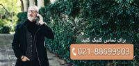 وکلای گروه  بزرگمهر