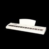 پیانو دیجیتال برگمولر DIGITAL PORTABLE PIANO P10